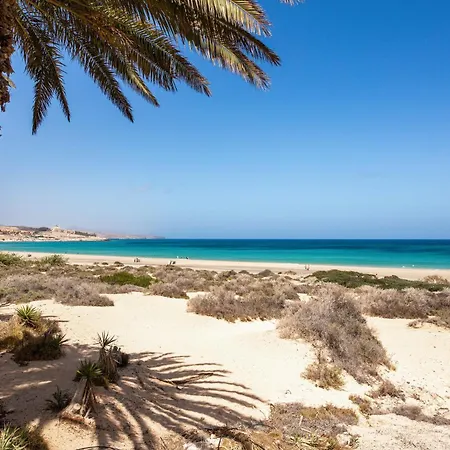 Near The With Huge Terrace, Parking And Wifi Appartement *